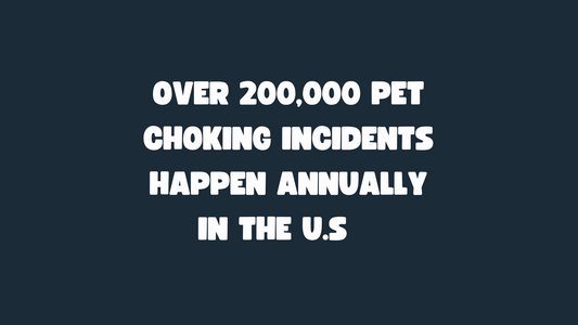 National Pet Choking Prevention Day: How to reduce the risks of choking dangers for your dog.
