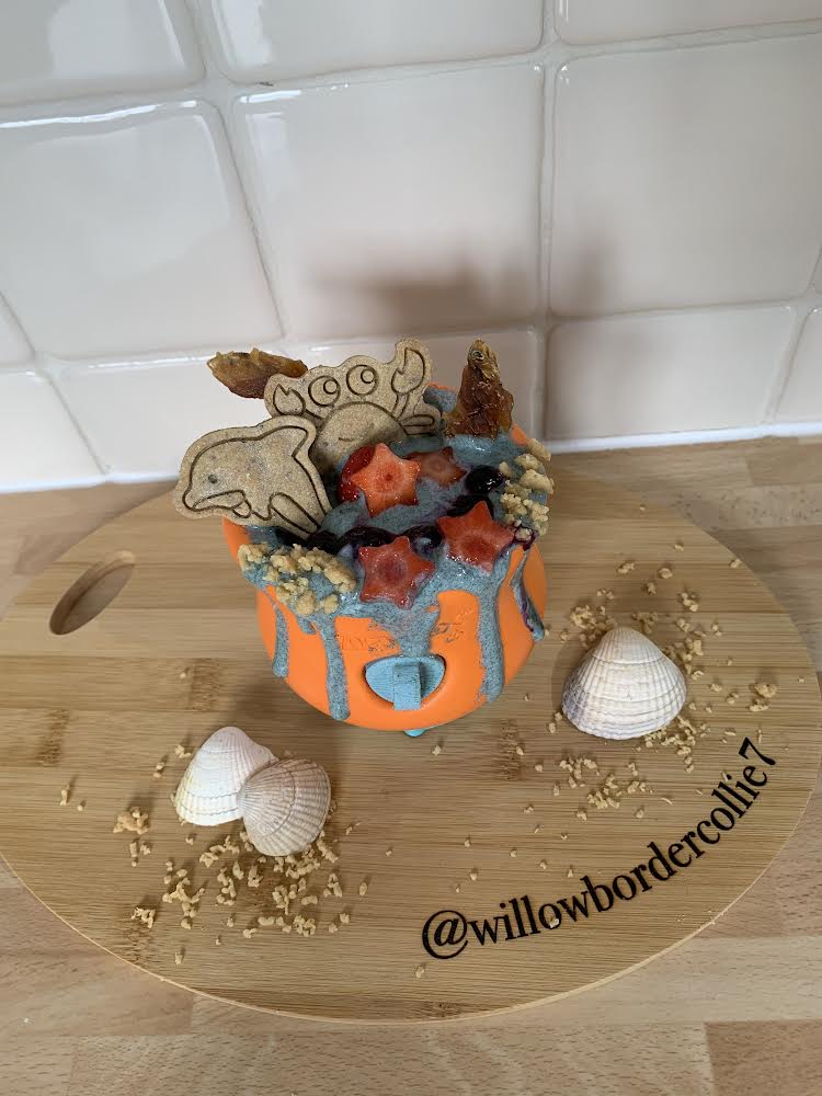 RECIPE: Under The Sea Inspired by Willow - @willowbordercollie7