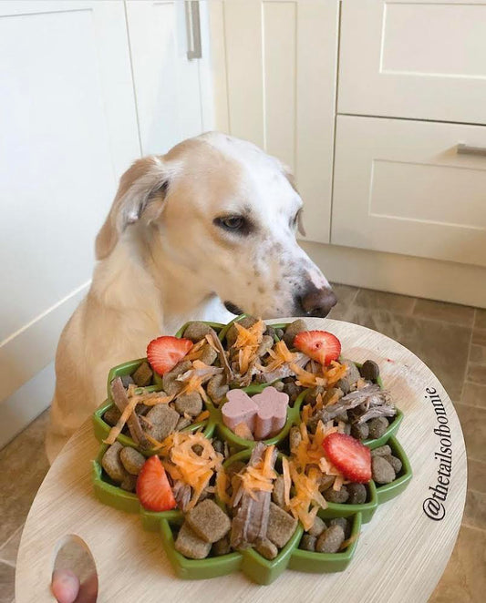 RECIPE: Magic Mandala Tray Inspired by Bonnie - @thetailsofbonnie