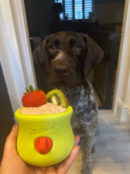 RECIPE: Kiwi Strawberry Smoothie Inspired by Otto & Popcorn - @ottogwpointer