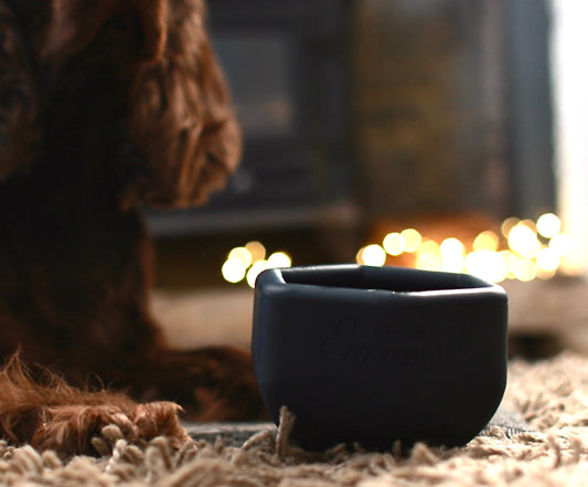 Winter Enrichment Ideas