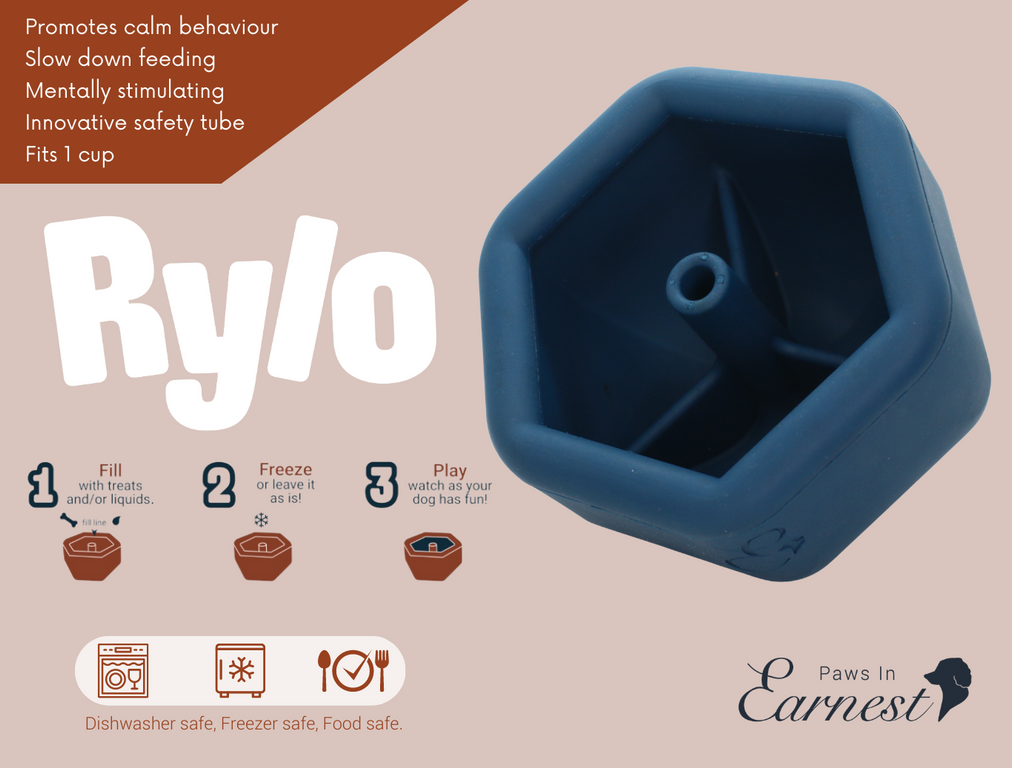 Rylo - Interactive Treat Toy